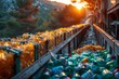 The sun sets casting a golden hue over a recycling facility filled with plastic bottles