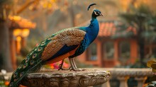 A Peafowl Perches On A Fountain With Electric Blue Feathers And A Striking Beak