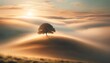 A solitary tree stands atop a gently rolling hill, veiled in a soft, swirling mist.