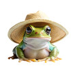 green frog wearing summer hat portrait png background