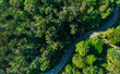 Aerial view of a road in the middle of the forest , road curve construction up to mountain	
