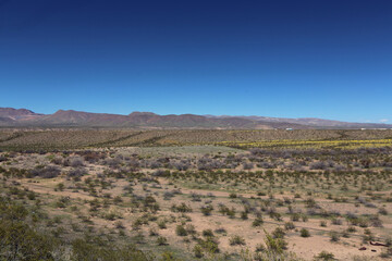 Wall Mural - Gila River Basin, Arizona 