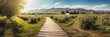 Beautiful panoramic sunny apple farm landscape with wooden path nature banner poster background backdrop from Generative AI