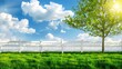 White fence and green grass garden on spring landscape 
