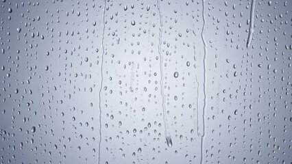 Wall Mural - water drops following down the surface of glass. Drops of Rain trickling down.