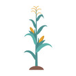 Corn stalk icon clipart avatar logotype isolated vector illustration