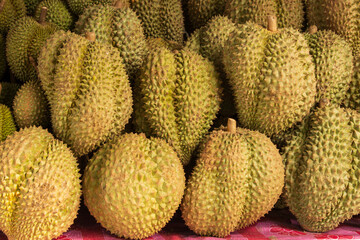 Poster - durian fruits on branches as background.