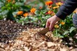 person using wood chips as mulch in a flowerbed