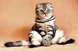 The Bengal cat sits regally on the floor, its sleek fur adorned with distinctive markings, exuding an air of elegance and poise.