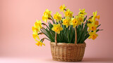 Fototapeta Tulipany - Elegant Daffodil Arrangement on Soft Pink Background
