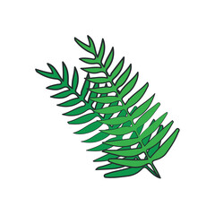 Poster - Leaf Illustration