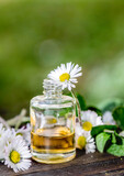 Fototapeta Tulipany - bottles of essential oil and daisies with fresh mint leaf on a wooden table  outdoors