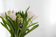 Blumen mit weiß-grauem Hintergrund, Hintergrundbild, Sliderbild