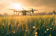 Medicine technology, drone spraying fertilizer liquid on rice fields