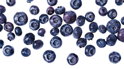 Wall Mural - blueberries isolated on white