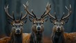 Three deer with brown antlers standing next to each other
