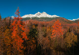 Fototapeta Londyn - Tatranske Matliare, Slovakia - Aerial view of the snowy mountains of Lomnicky Peak in the High Tatras with beautiful red and orange coloured autumn trees and foliage and clear blue sky at Vysoke Tatry