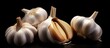 Four bulbs of garlic, a staple food ingredient, are placed on a black surface. Garlic is a natural food produce commonly used in cooking