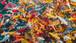 Numerous brightly colored koi fish congregate, creating a lively and dynamic underwater ballet