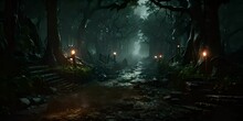 A Path In A Dark Forest At Night. 4K Video