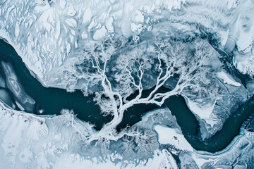 Wall Mural - Top-down aerial view of a glacial river with intricate patterns, showing contrasting dark water against white snow.