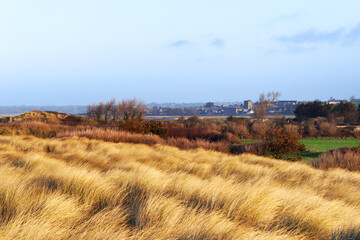 Sticker - Sand dunes and Regnéville sur Mer village in Cotentin coast