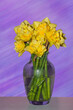 Yellow daffodils in a glass vase on a purple texture background