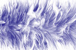 Beautiful dark violet  feather pattern texture background , pastel color style
