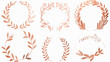 Rose gold wreaths and laurels  flat vector isolated on