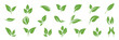 © Urwah - Mega set collection  of green leaf icons design inspiration
