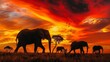 African Elephants Roaming in Fiery Sunset