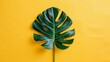 A vibrant green palm leaf contrasts beautifully against a bright yellow backdrop