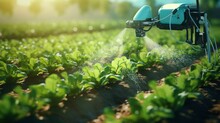 A Robot Is Spraying Water On A Field Of Green Plants