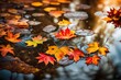 bright maple leaves in a puddle. Beautiful autumn atmosphere image. vivid autumn maple leaves on water backdrop. fall season background concept. 