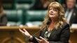© Stavros - Speech in parliament. An attempt to convey your point of view, supported by arguments and active gestures. Intense discussion among lawmakers.