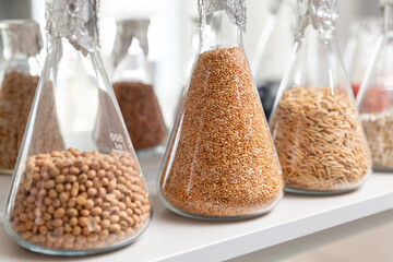 Samples of  encrustied and processed grains in a glass test tubes in agrochemistry lab.