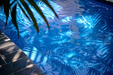Poster - A tranquil pool with sparkling blue water reflecting a vibrant palm tree under the clear sky, offering a peaceful oasis