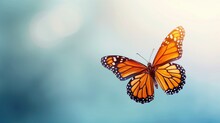 A Vibrant Monarch Butterfly In Mid-flight Against A Serene Blue Background With Soft Bokeh Light Spots.