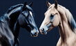 Wallpaper representing two horses facing each other.