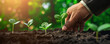 A nurturing hand gently plants a young seedling in rich soil against a backdrop of sunlight and greenery