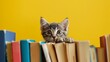 Charming fleecy feline looks out from behind a pile of books on a yellow background