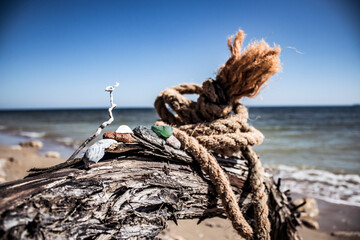 Wall Mural - Seashells and pebbles lie on a branch of a dry tree with a rope close-up against the background of the sea and sky	
