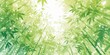 Watercolor bamboo forest background with green leaves and sunlight