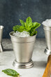 Refreshing Cold Iced Mint Julep Cocktail