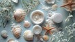 Seashells and mineral-rich skincare, representing the benefits of sea mineral extracts