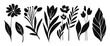 Set of leaves silhouette of beautiful flowers, leaves, plant design. Vector illustration