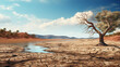 Desert landscape with cracked soil and dry tree. Drought and global ecology concept.