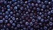 Close-up of Fresh Blueberries Filling the Frame, Perfect for Healthy Eating Concepts. High-resolution, Vibrant and Natural Texture. AI
