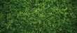 Artificial green grass texture.