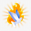 Pentecost dove with fire flames illustration on transparent background